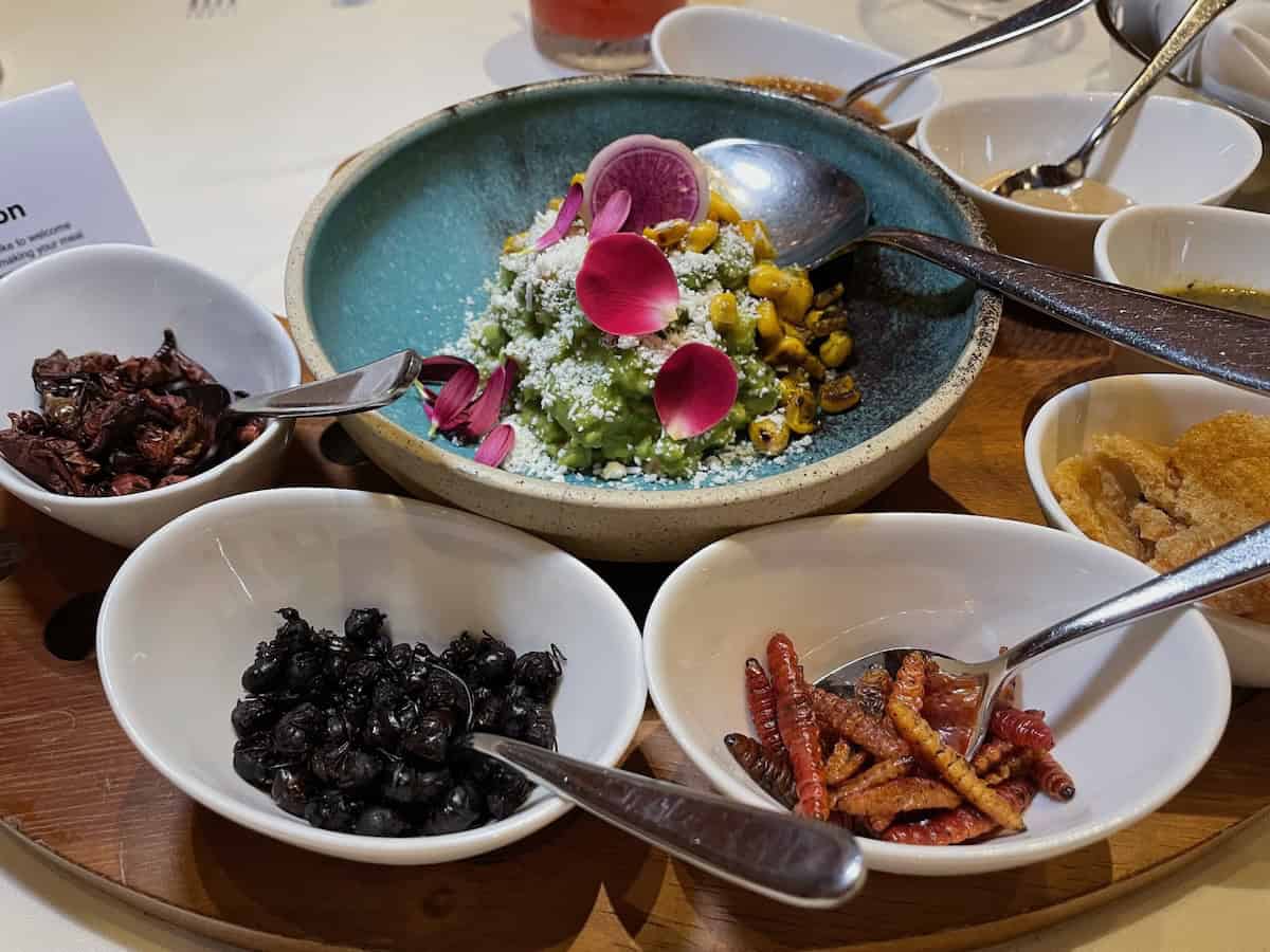 Riviera Maya food options for families what to expect - изображение 3