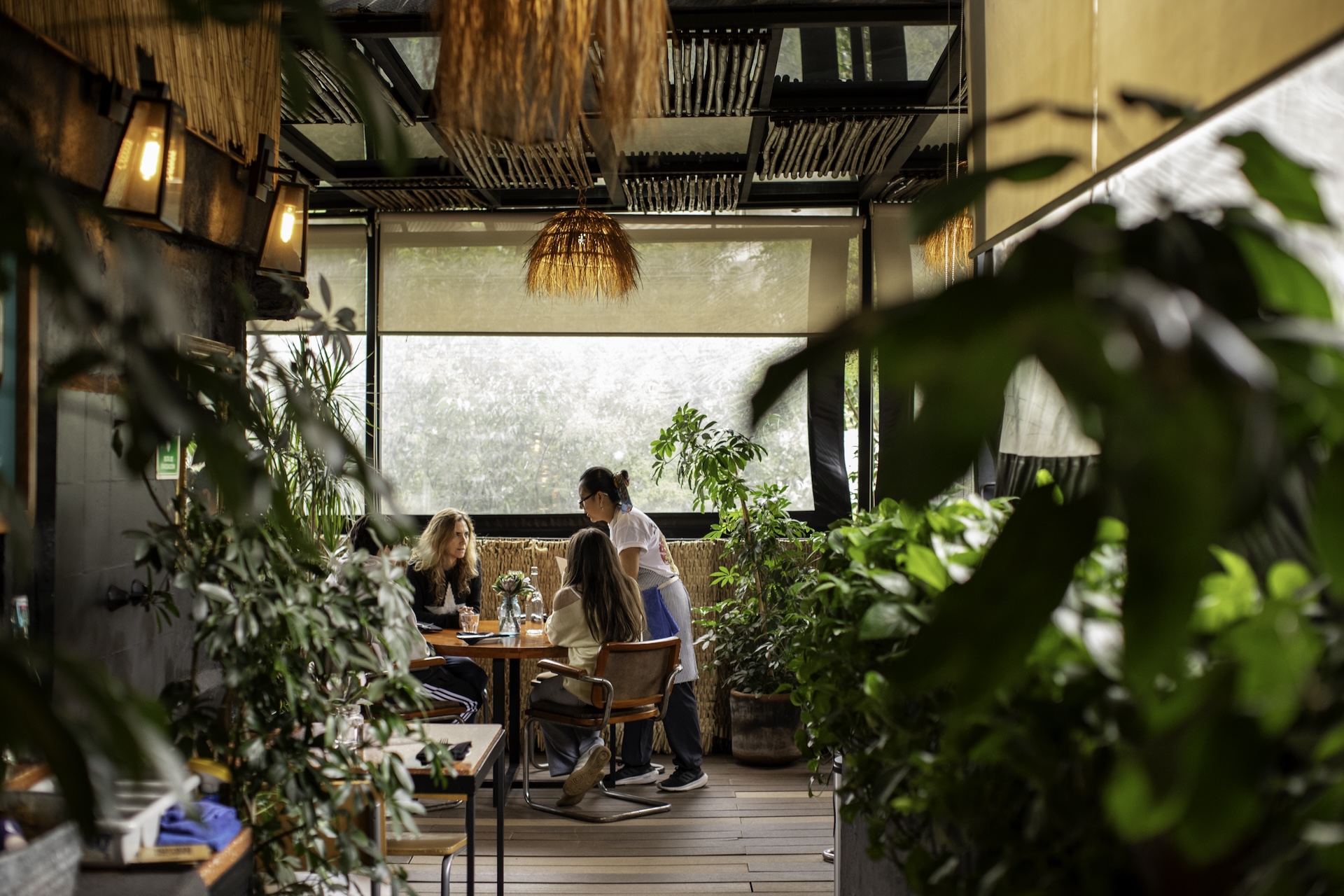 Mexico City’s New Culinary Energy: The Neighborhoods and Tables to Watch - изображение 3
